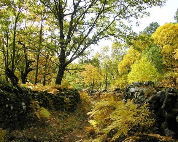 Villa Sierra De Gata Santibanez el Alto Eksteriør bilde